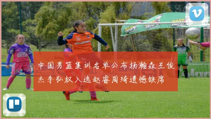 中国男篮集训名单公布杨瀚森王俊杰李弘权入选赵睿周琦遗憾缺席