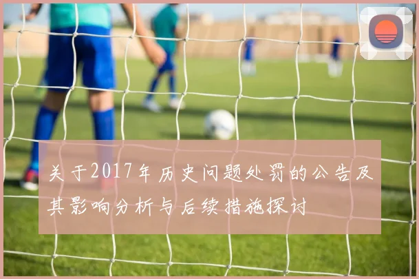 关于2017年历史问题处罚的公告及其影响分析与后续措施探讨